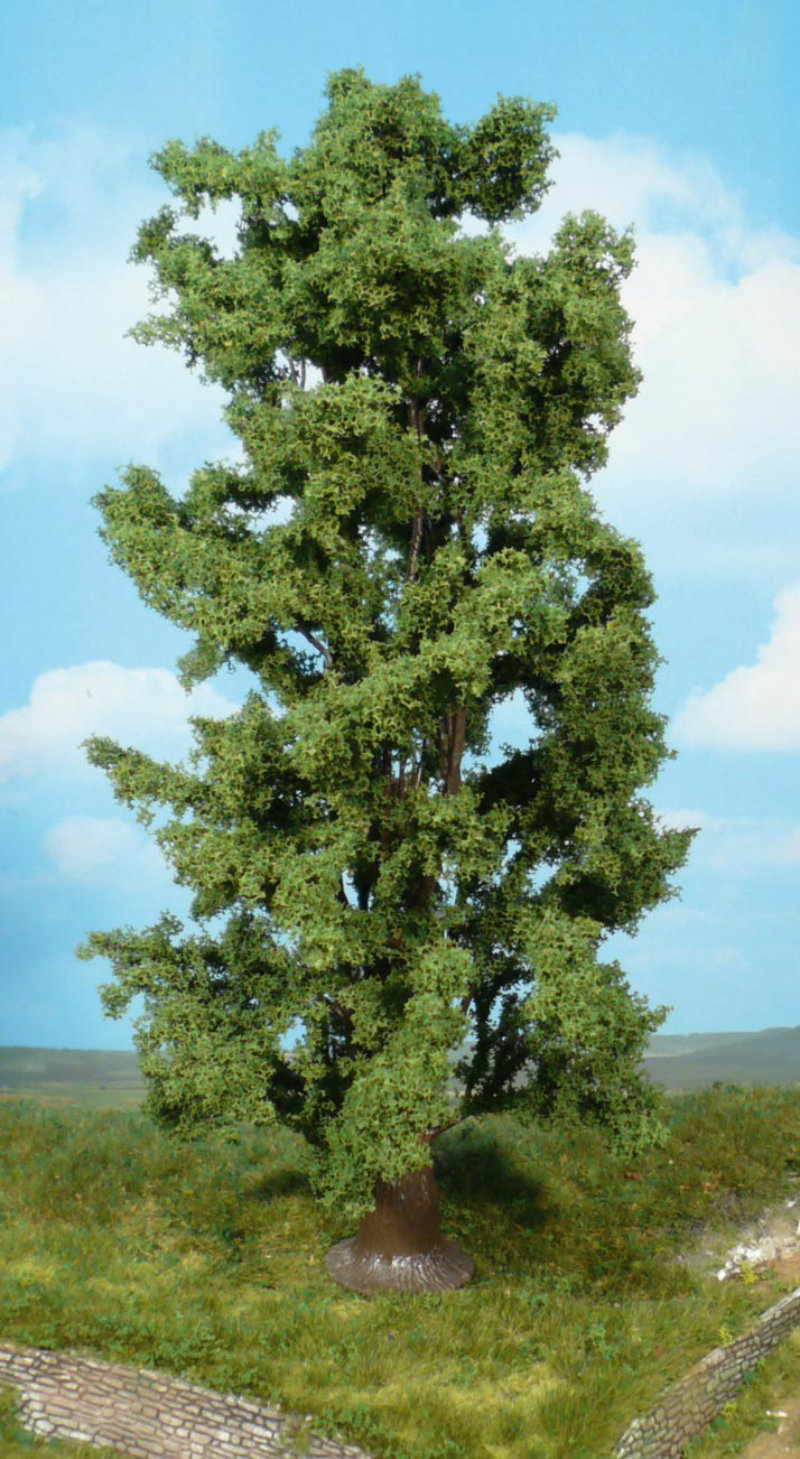 Felsenahorn 1x - 30cm