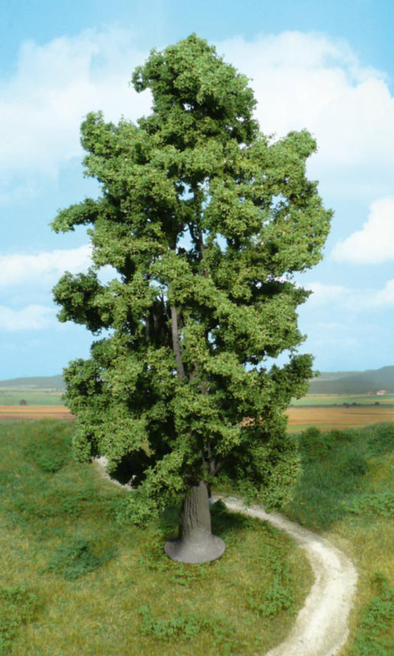 Felsenahorn 1x - 30cm